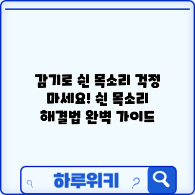 감기로 쉰 목소리? 걱정 마세요! 쉰 목소리 해결법 완벽 가이드