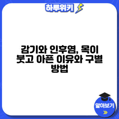 감기와 인후염, 목이 붓고 아픈 이유와 구별 방법