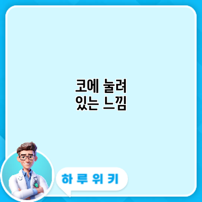 코에 눌려 있는 느낌