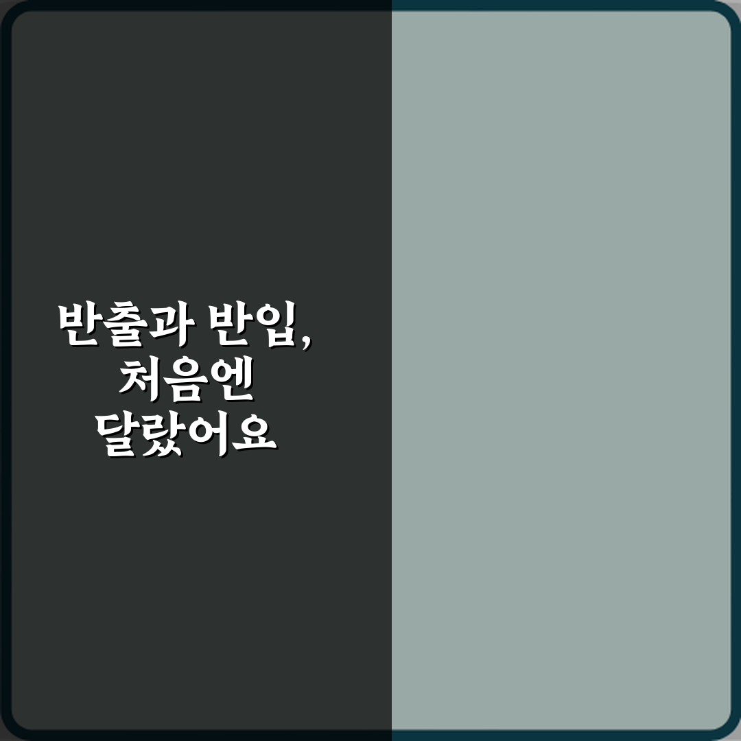 반출과 반입 차이 직접 해봤어요, 확실히 달라요