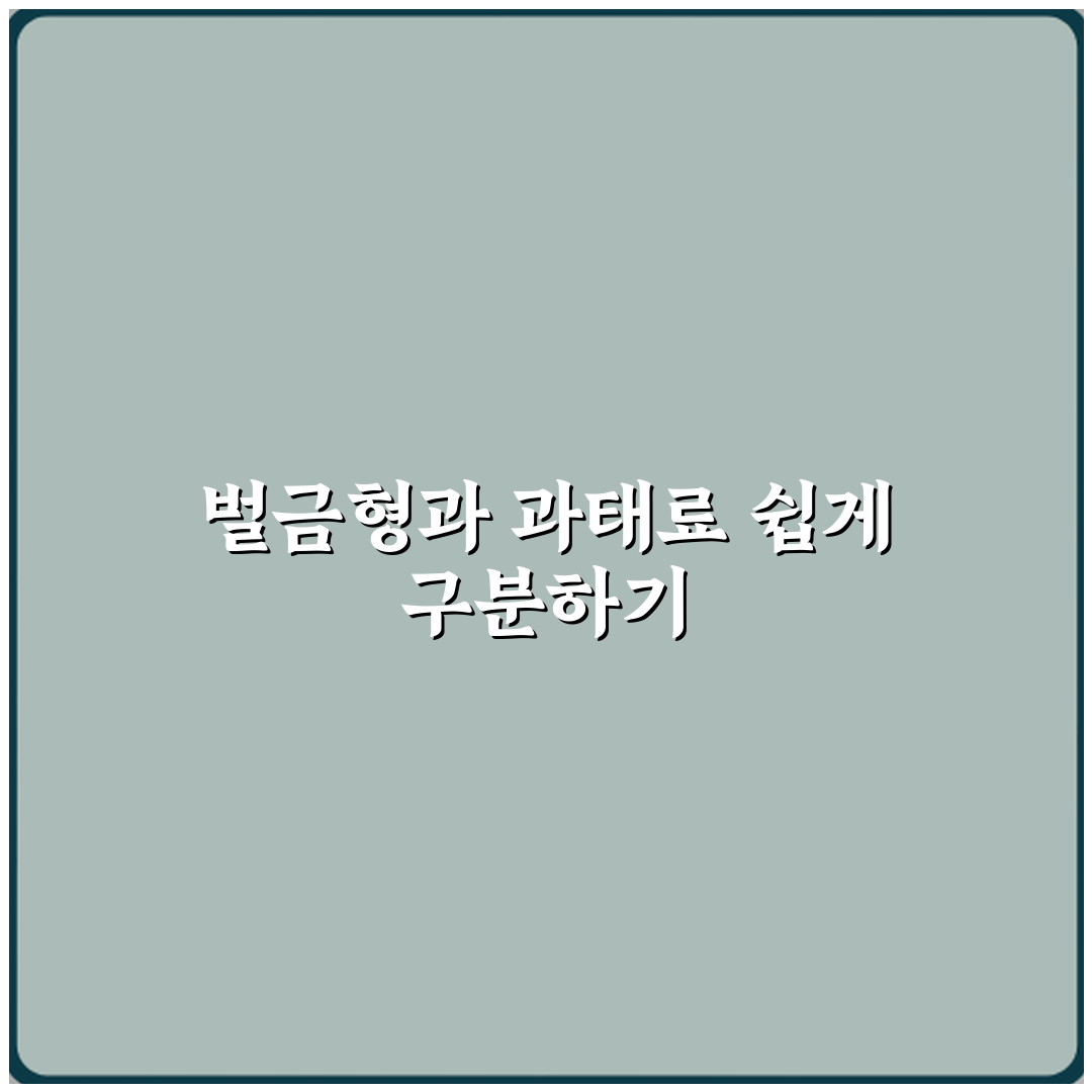 벌금형과 과태료 차이 뉴스에서 자주 헷갈리는 이유 심층분석 7가지 핵심포인트