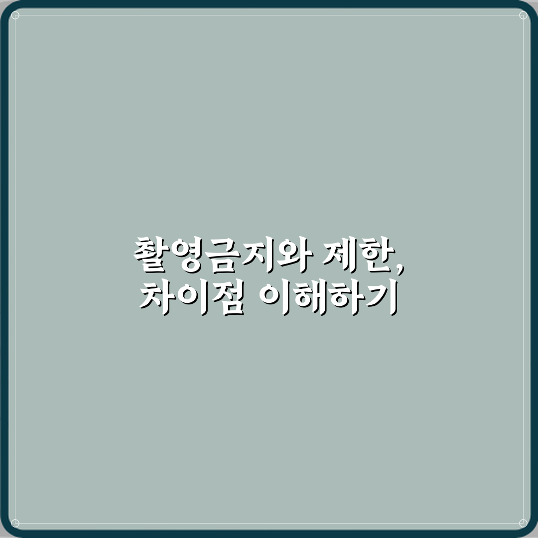 촬영금지와 촬영제한 차이 체험기, 직접 겪어보니 달랐어요