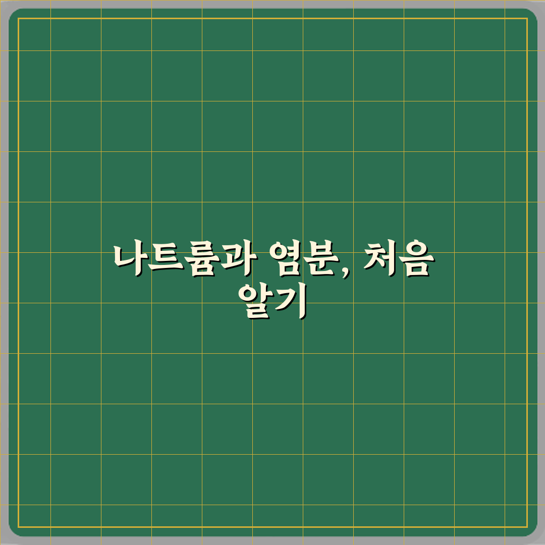 나트륨과 염분 차이 직접 해봤어요, 확실히 달라요